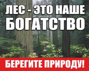 Лес беречь сегодня - это цель, важней которой нету…