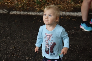 Все краски лета