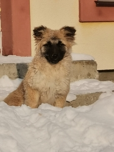 Городская акция 