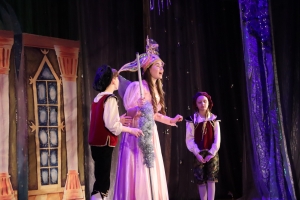 Во Дворце детского творчества начались показы новогодней сказки 